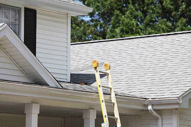 Best Shed Removal  in Bergenfield, NJ